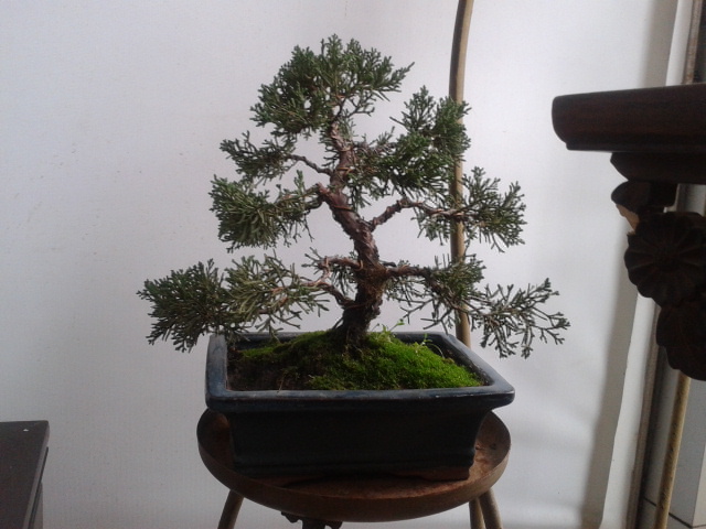 2012-03-30 16.36.44.jpg