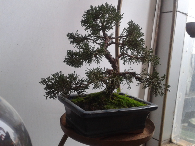 2012-03-30 16.37.09.jpg