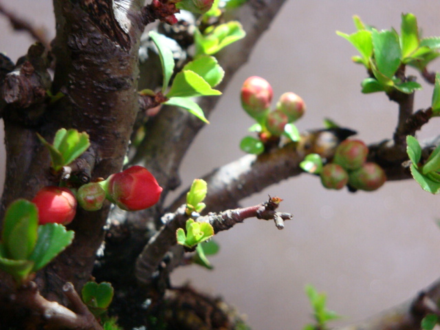 DSC08380.JPG