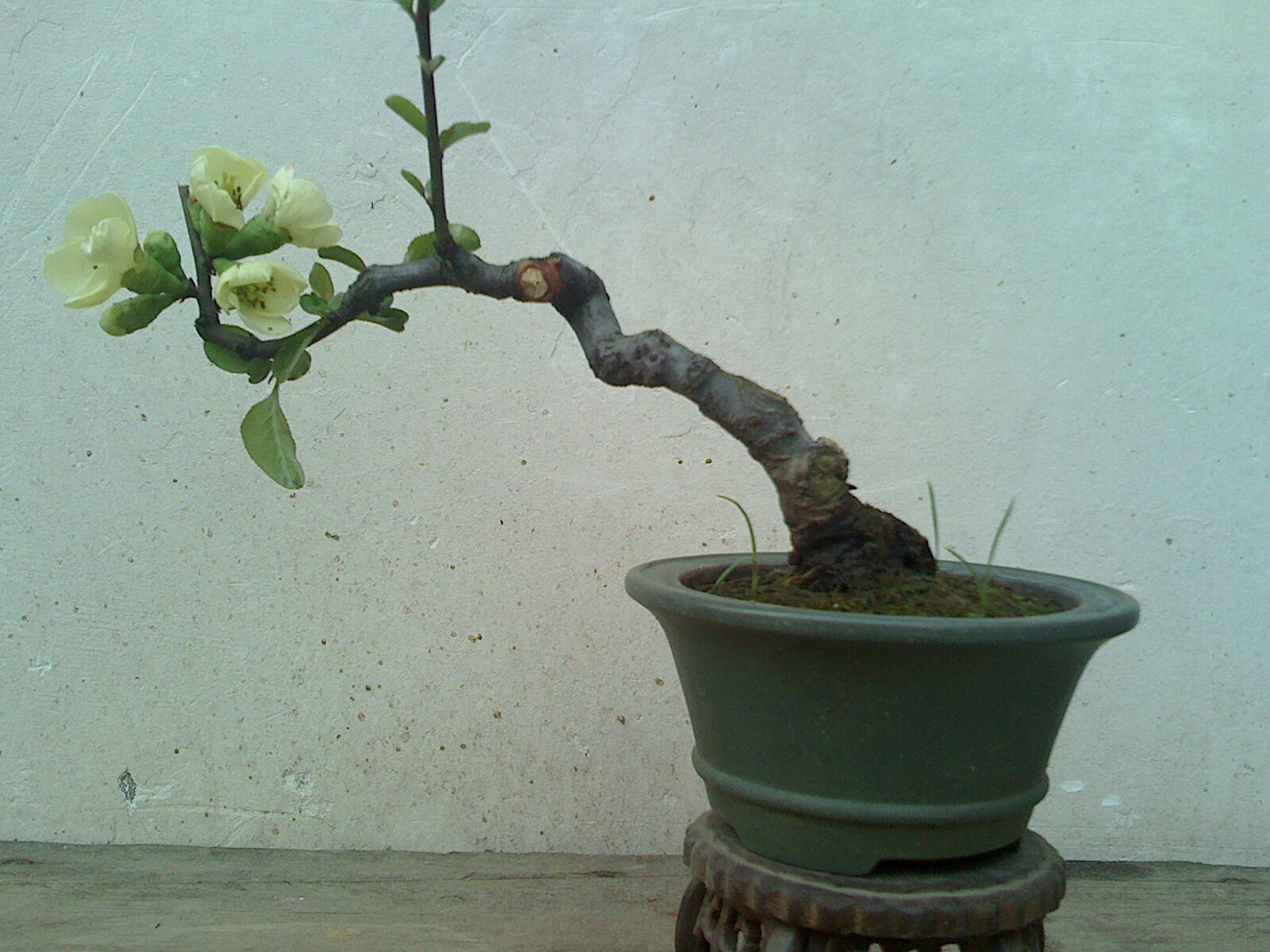IMG0328170100.jpg