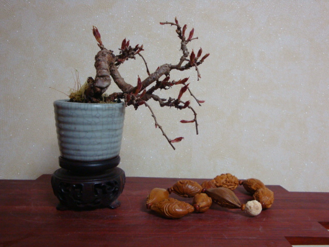 DSC08415.JPG