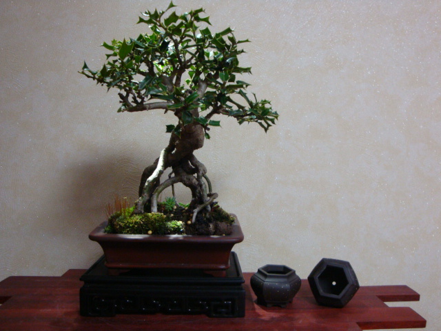 DSC08419.JPG