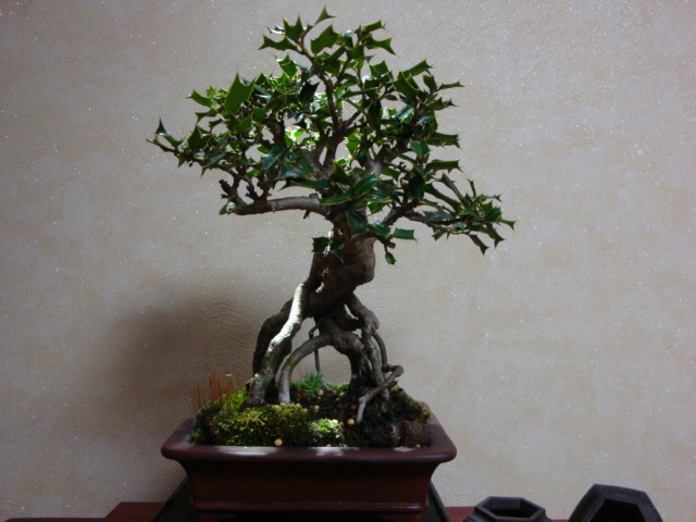 DSC08420.JPG