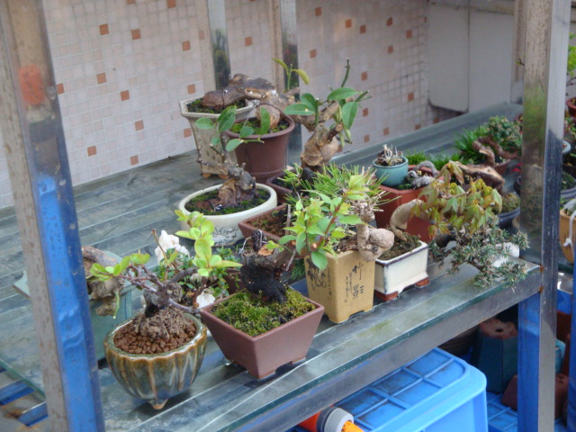 DSC08363.JPG