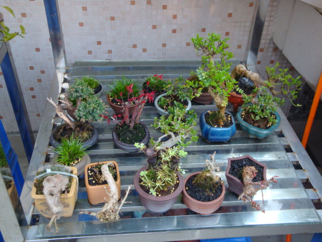 DSC08364.JPG