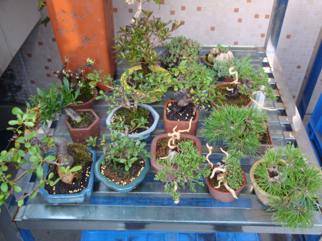 DSC08365.JPG