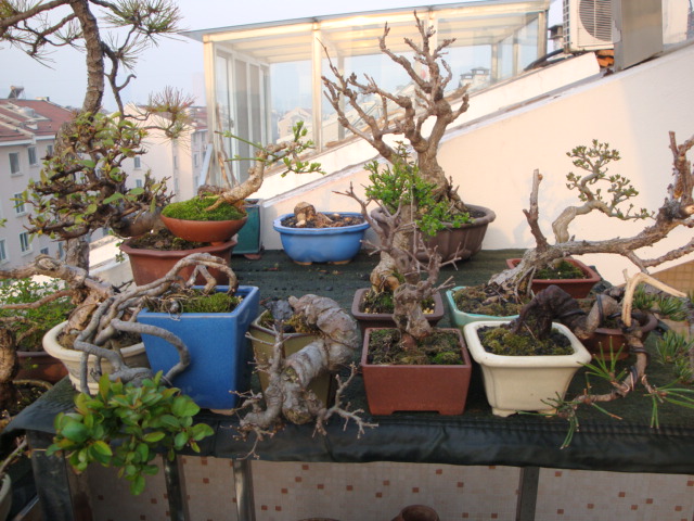 DSC08367.JPG