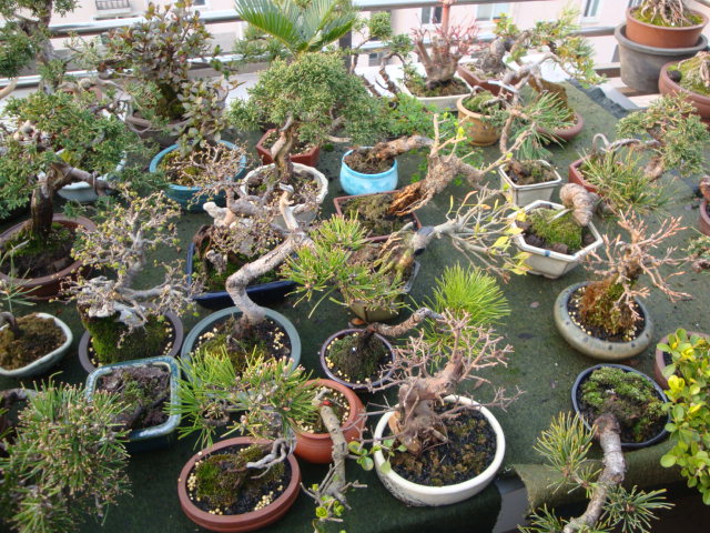 DSC08373.JPG