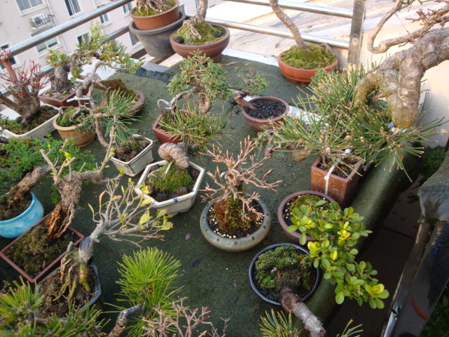DSC08374.JPG