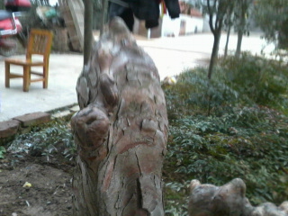 Ƭ0020.jpg