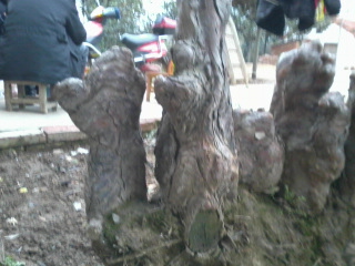 Ƭ0021.jpg