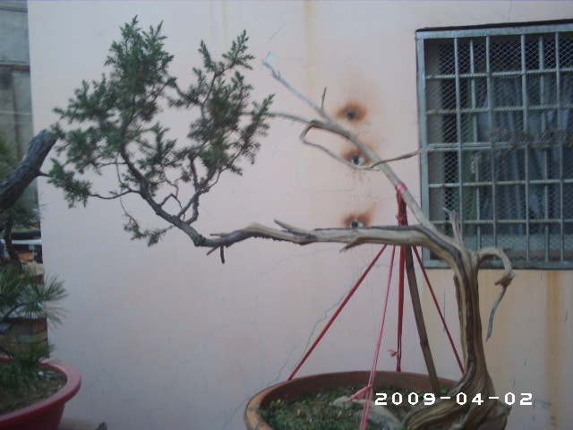 PHOT0026.JPG