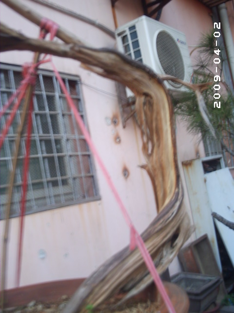 PHOT0027.JPG