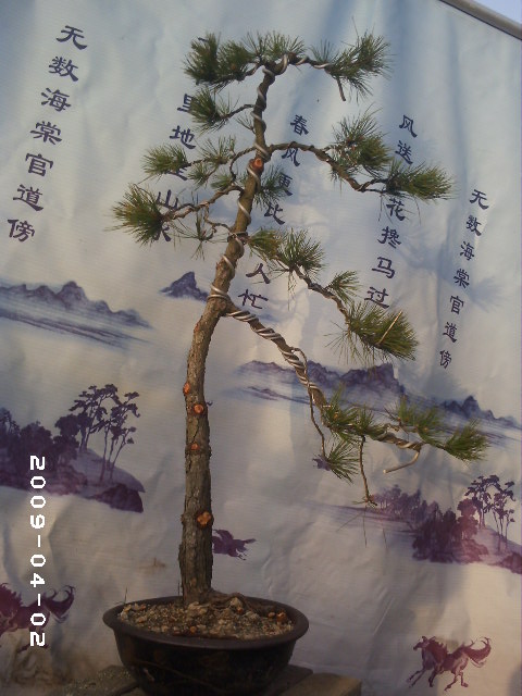 PHOT0022.JPG