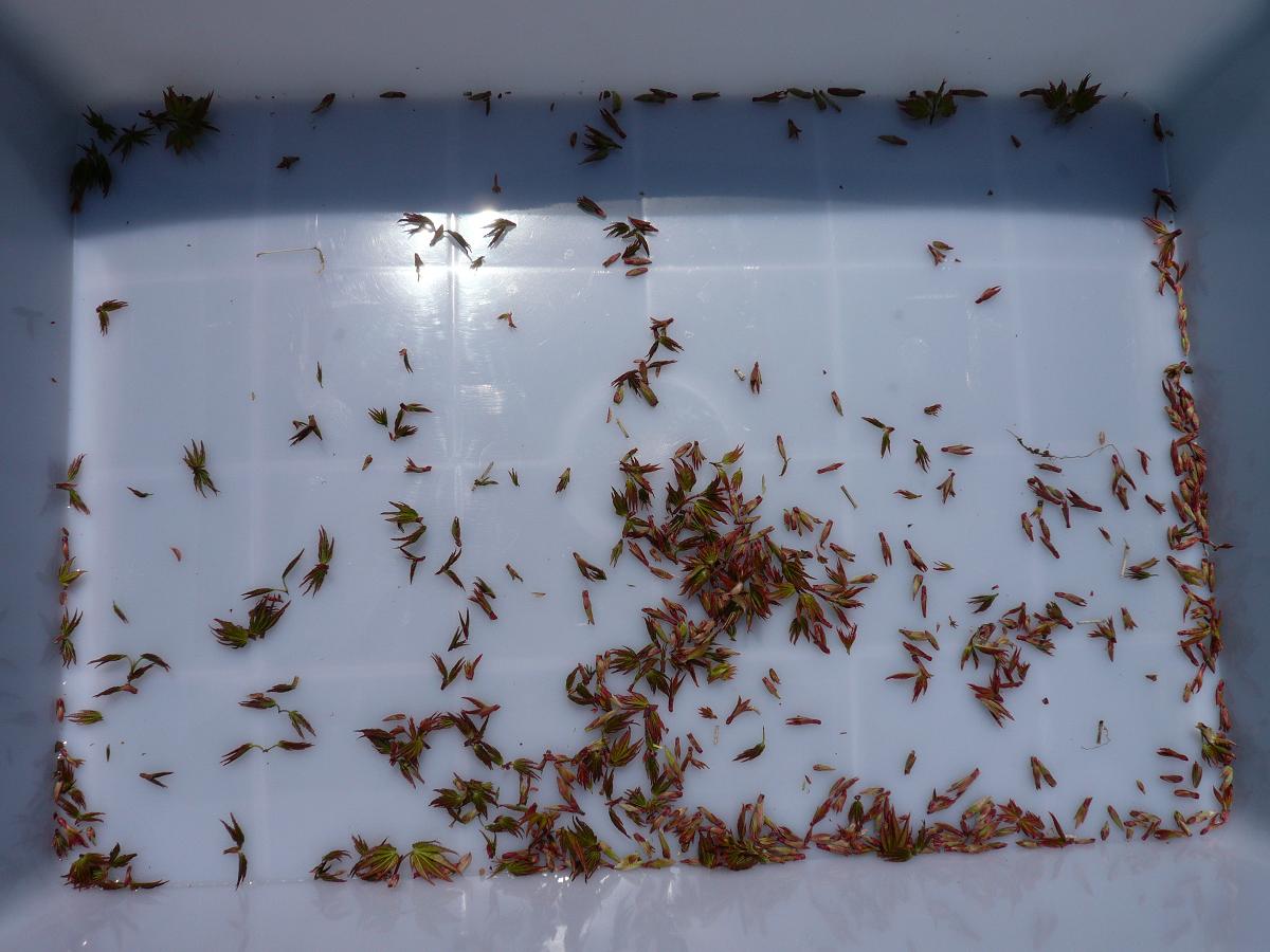 P1080213.JPG