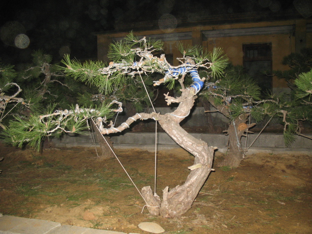 IMG_4806.jpg
