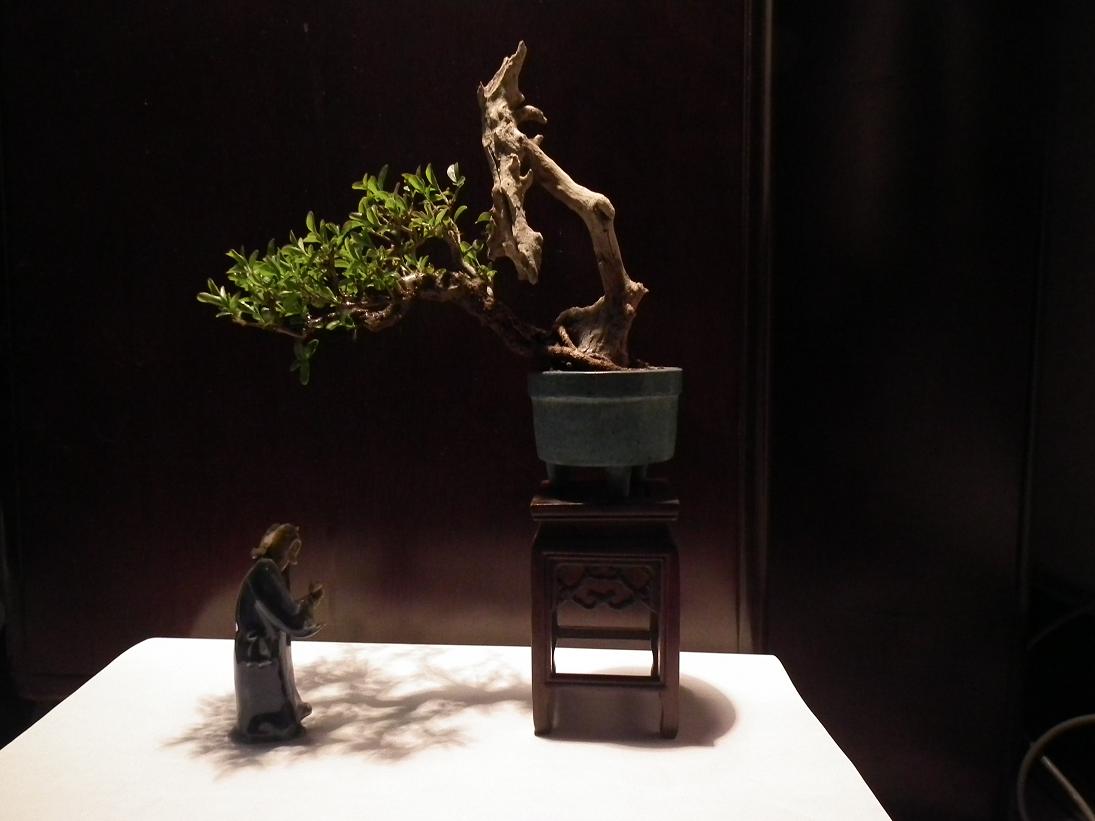 DSCF5439.JPG