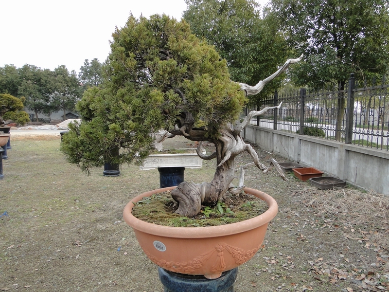 DSC05029.JPG