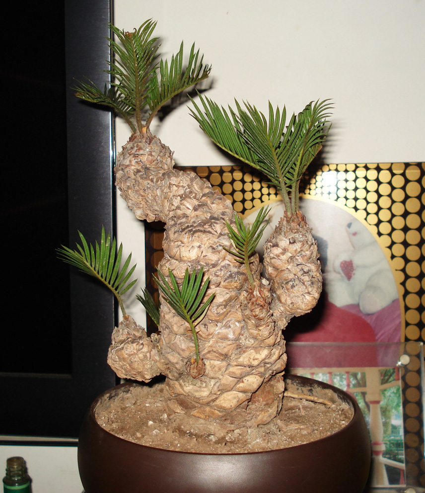 DSC00836.JPG