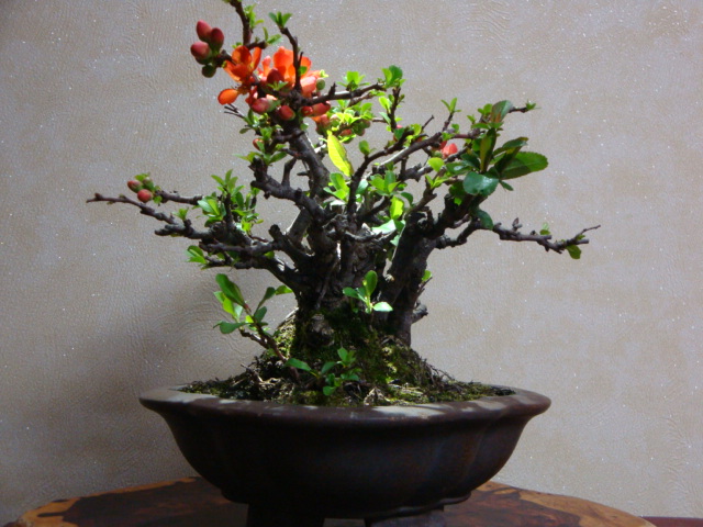 DSC08437.JPG