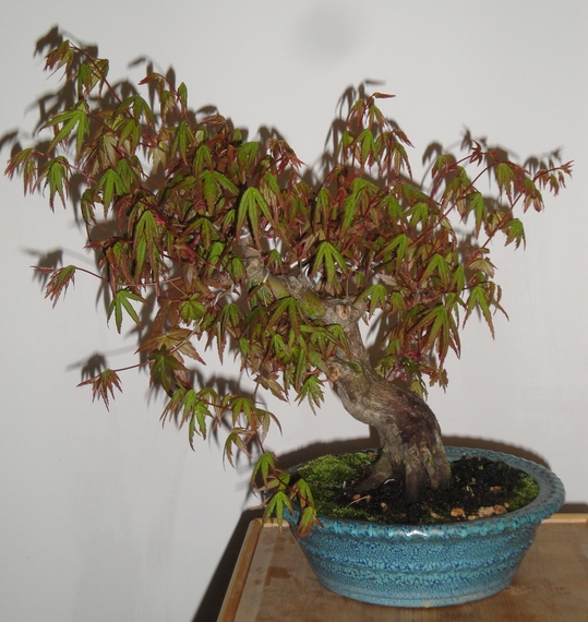 DSC08600.JPG