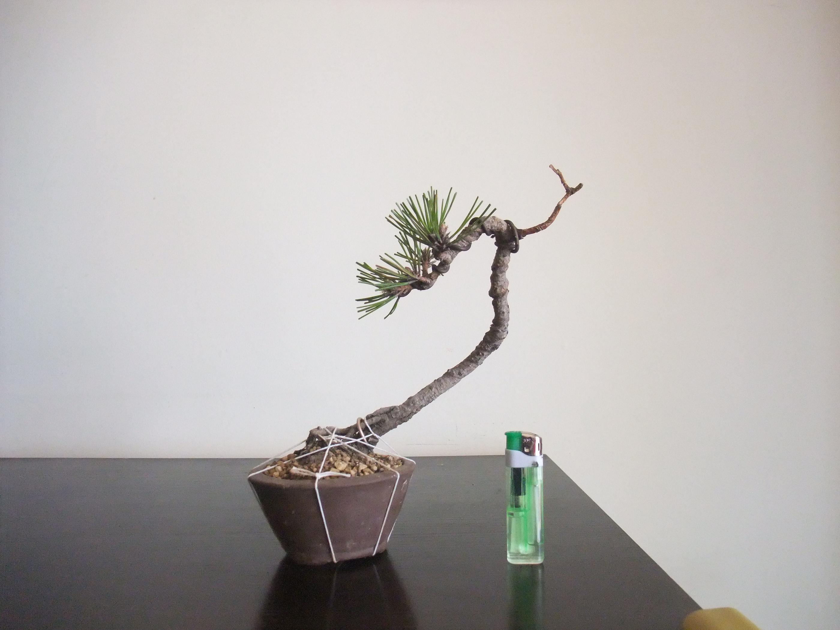DSCF2815.JPG