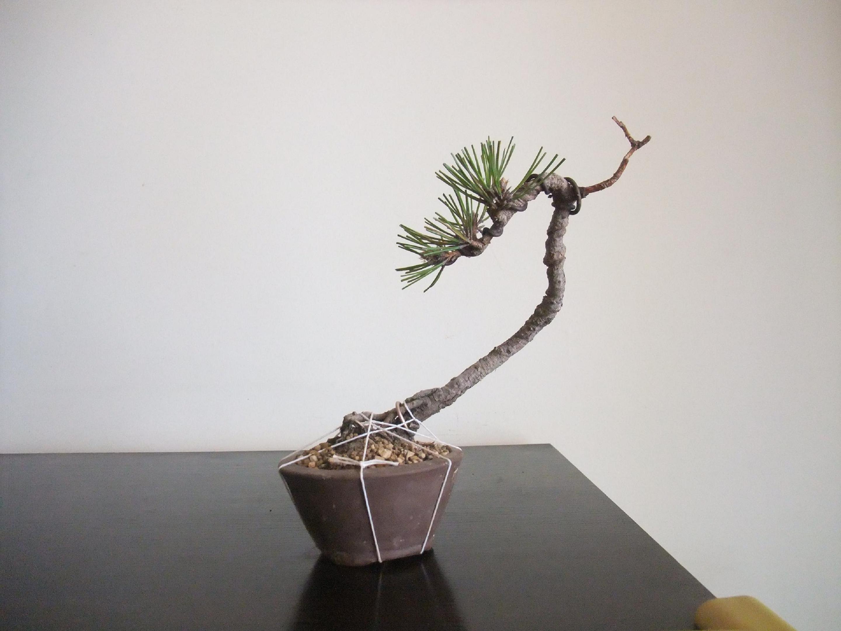 DSCF2814.JPG