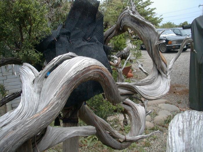 Image16.jpg