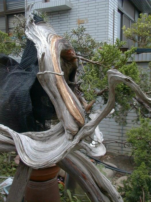 Image18.jpg