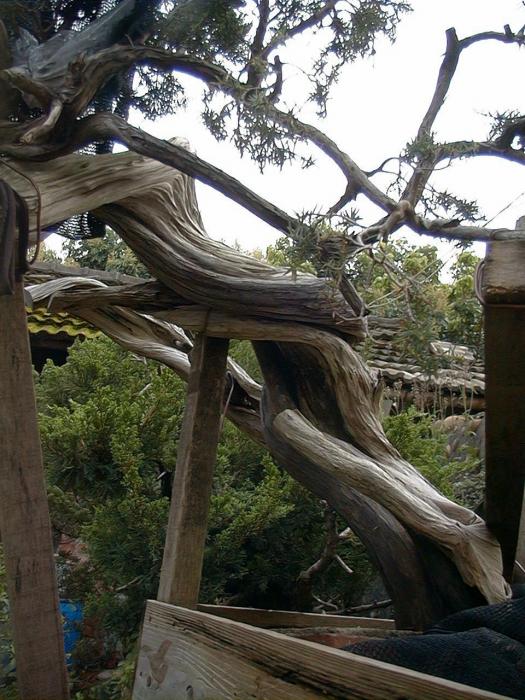Image44.jpg