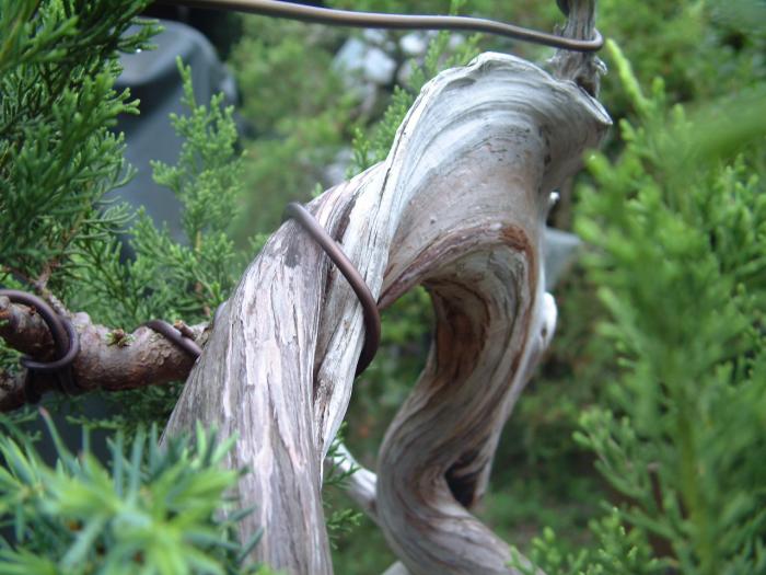 DSCF0149.jpg