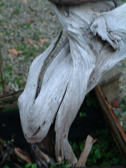 DSCF0028.jpg