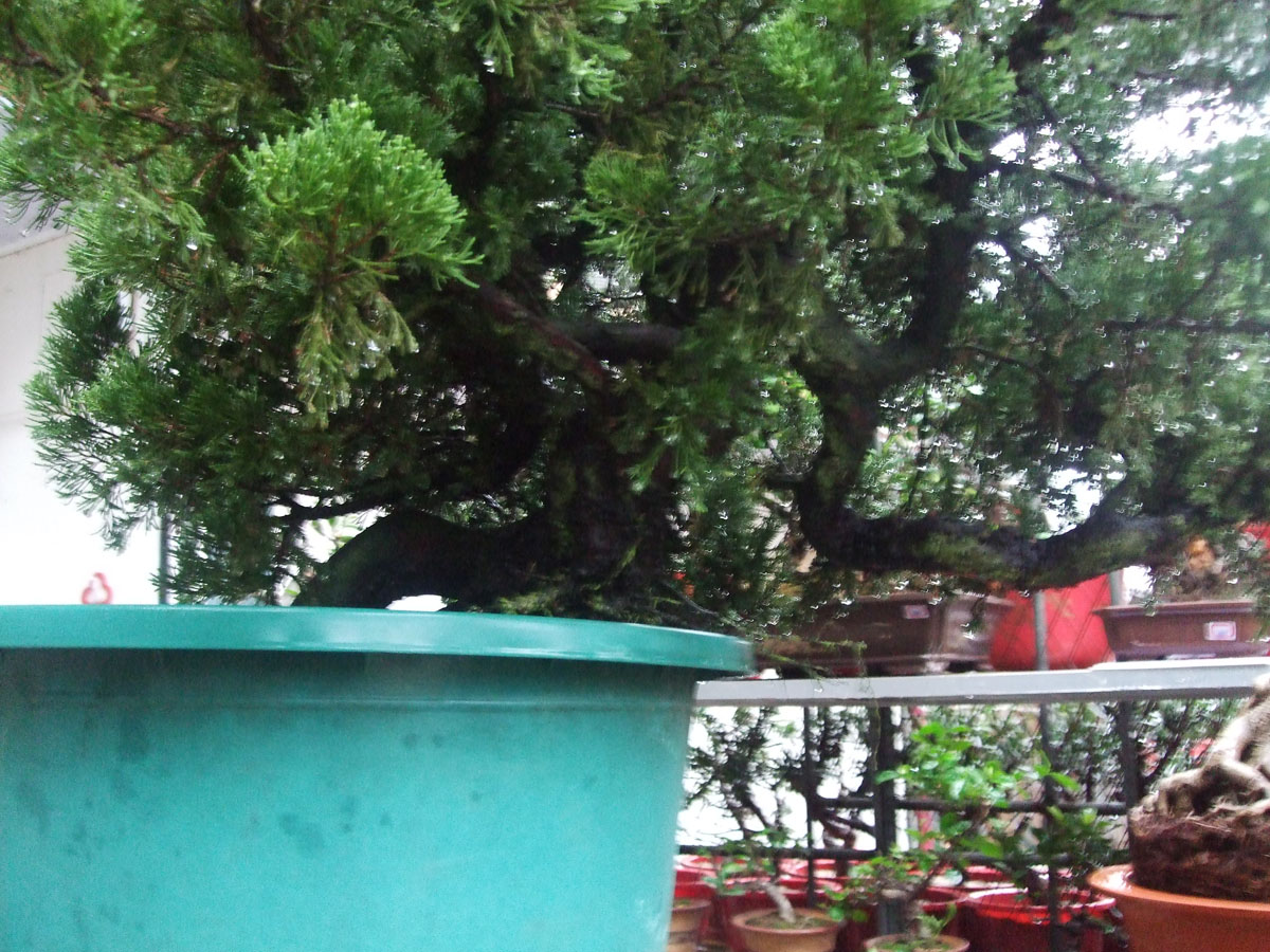 DSCF1107.jpg