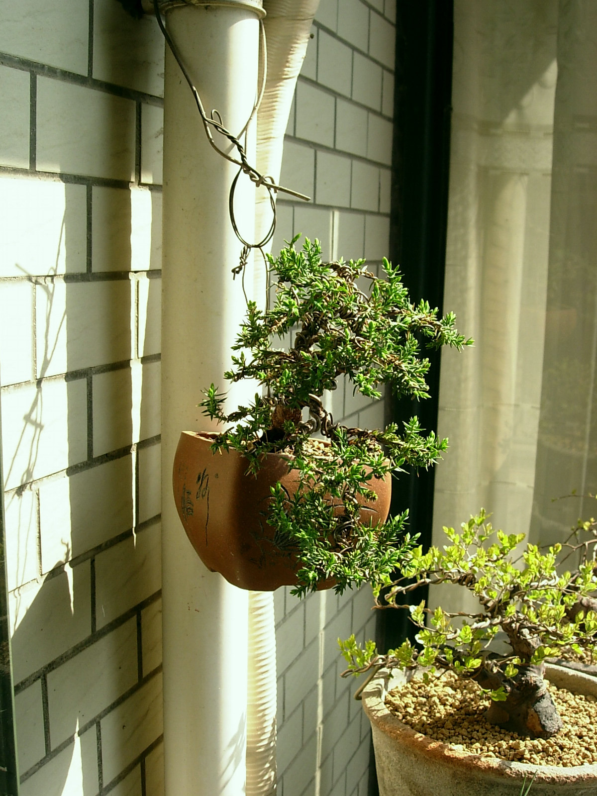DSCN7568.JPG