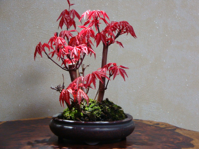 DSC08480.JPG