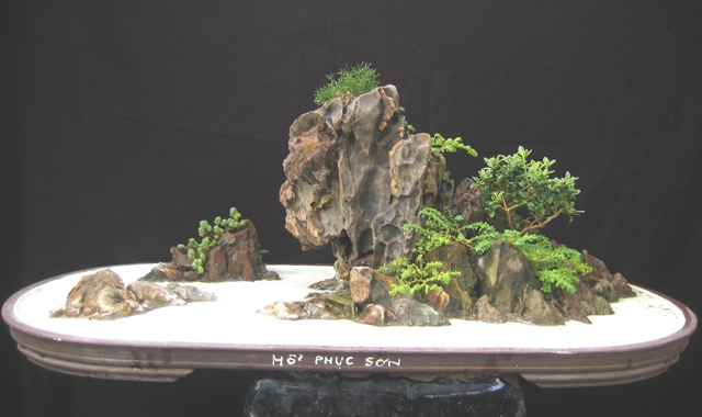large00516292.jpg