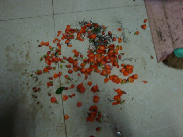 DSC08532.JPG