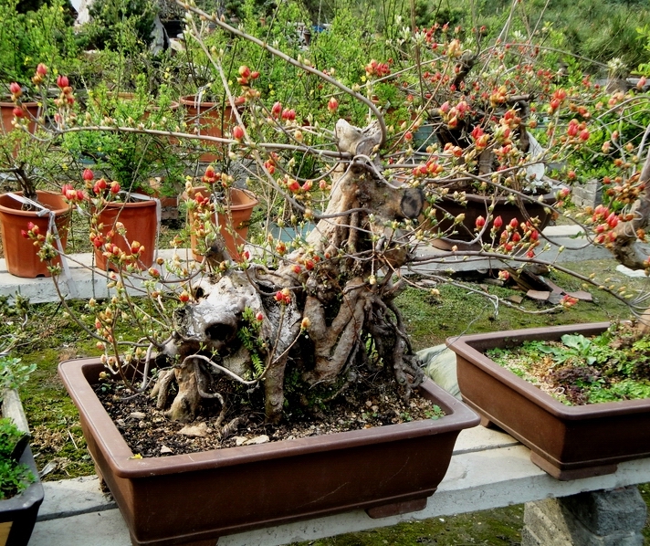 DSC08647.JPG