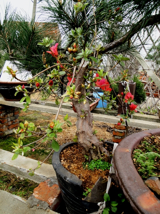DSC08640.JPG