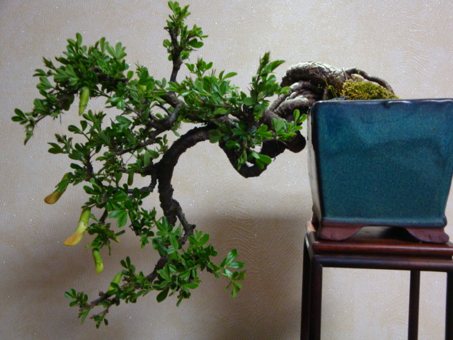 DSC08525.JPG