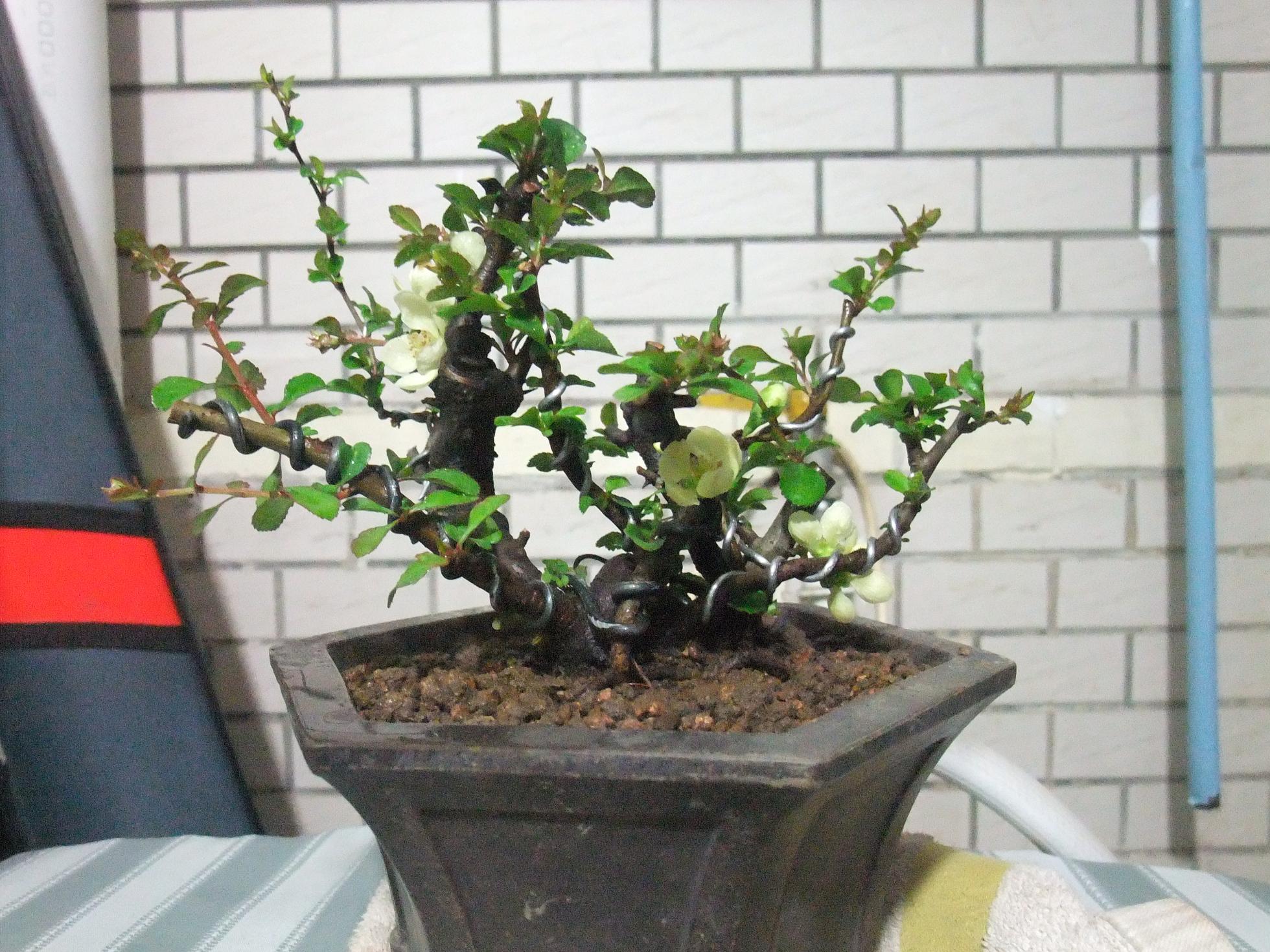 DSCF2818.JPG