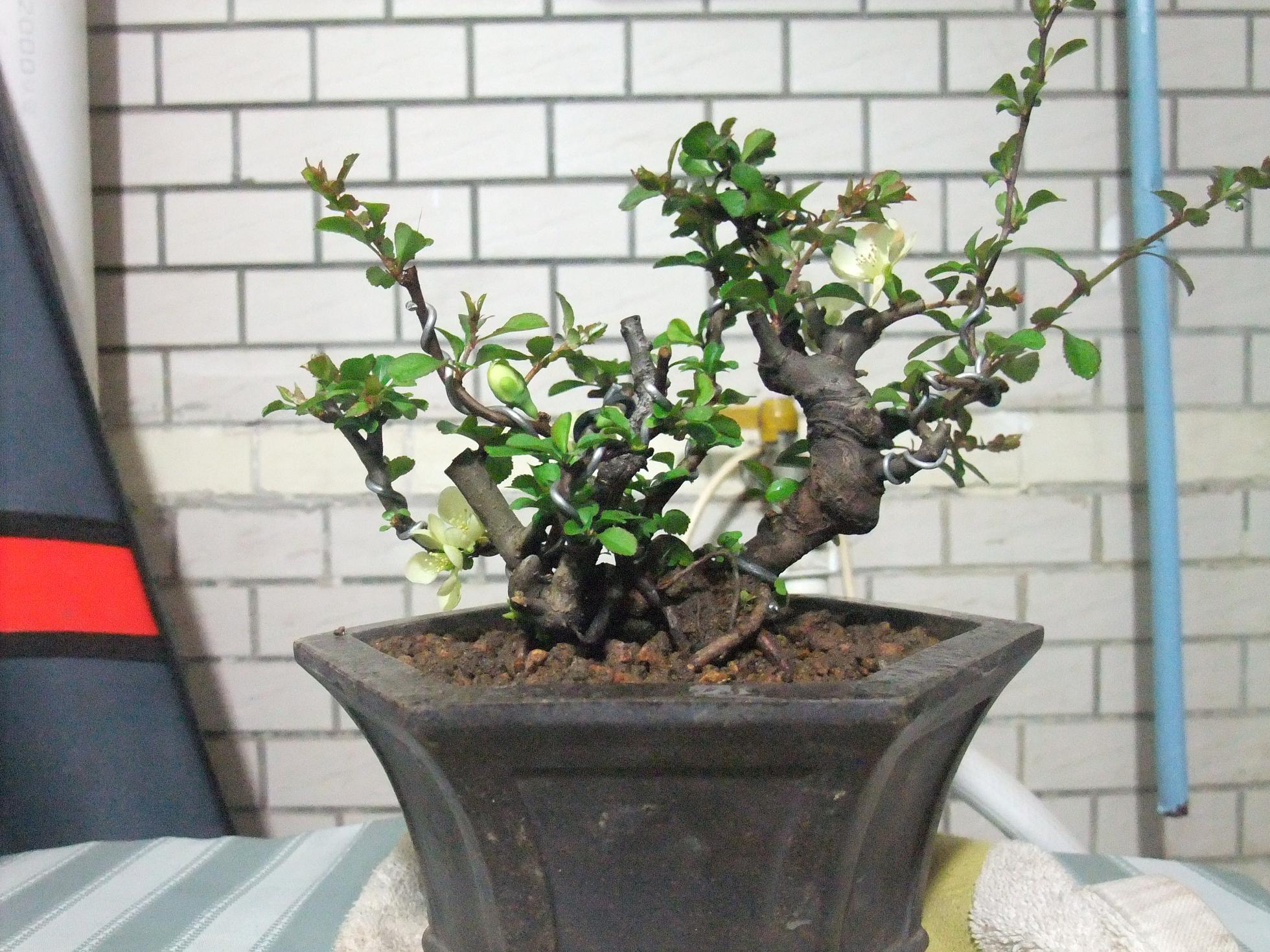 DSCF2819.JPG