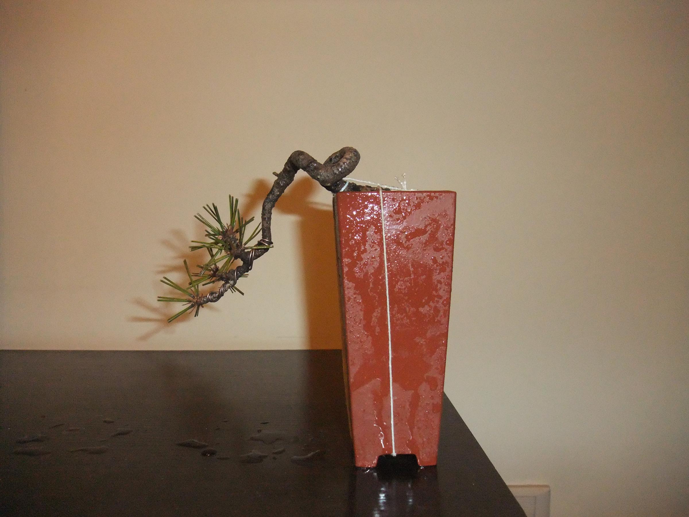DSCF2839.JPG