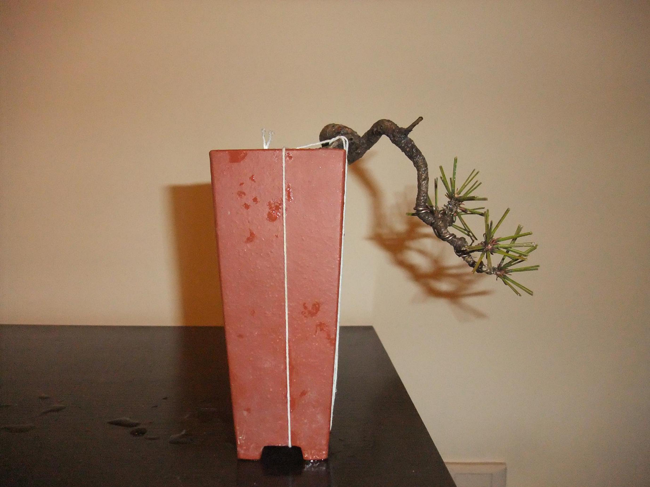 DSCF2840.JPG