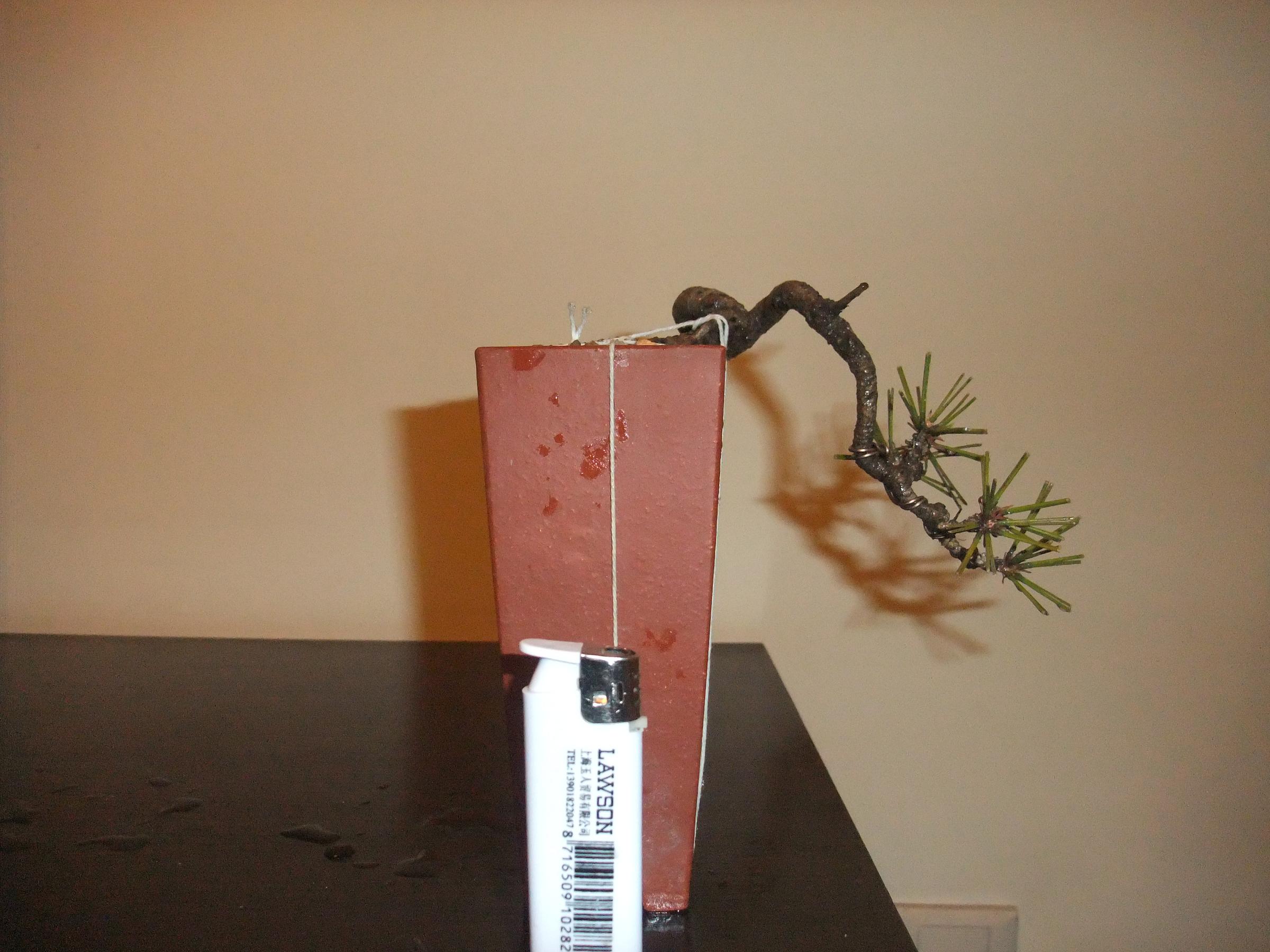 DSCF2843.JPG