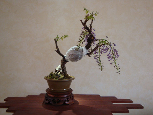 DSC08553.JPG