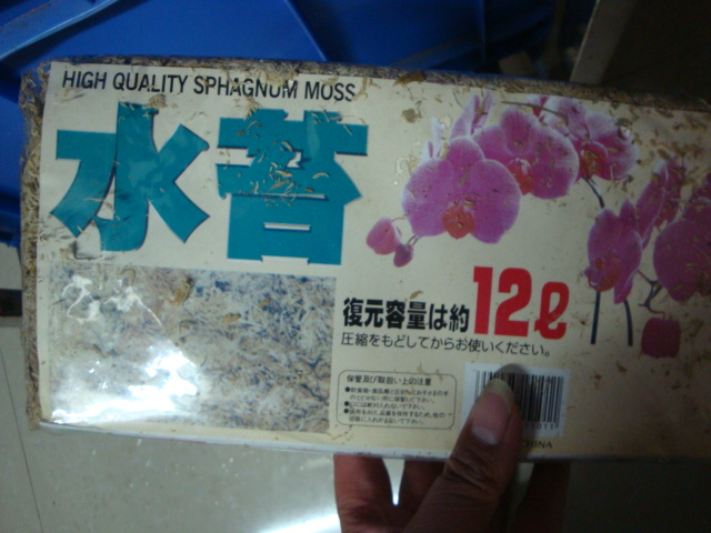 DSC08521.JPG