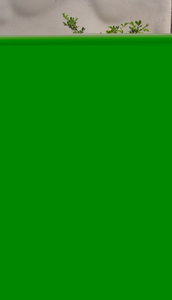 ˽ȸ1237.JPG