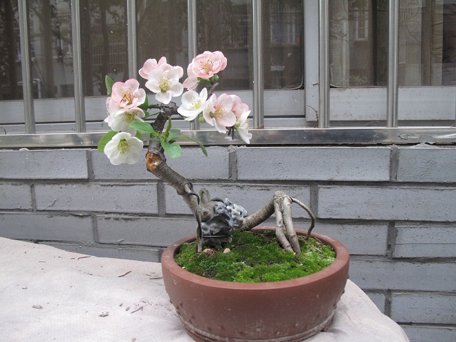 IMG_0120.JPG