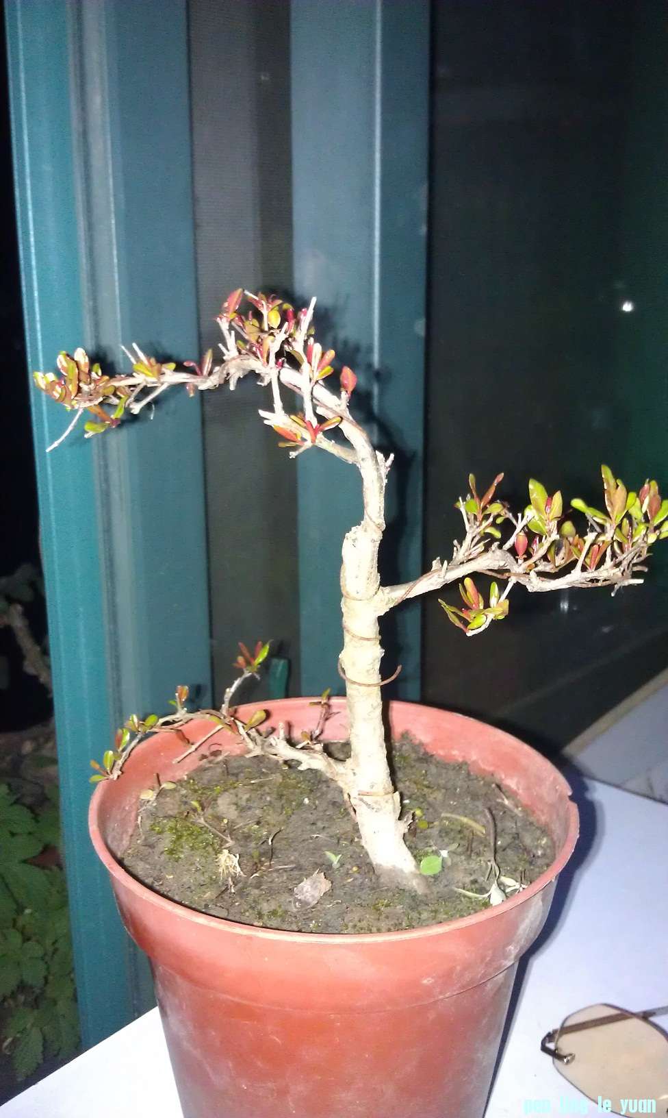 IMAG0497.jpg
